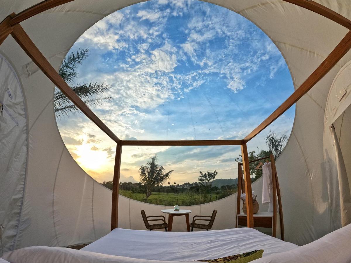 Green Land Bubble Glamping By Mint Cabarete Dış mekan fotoğraf