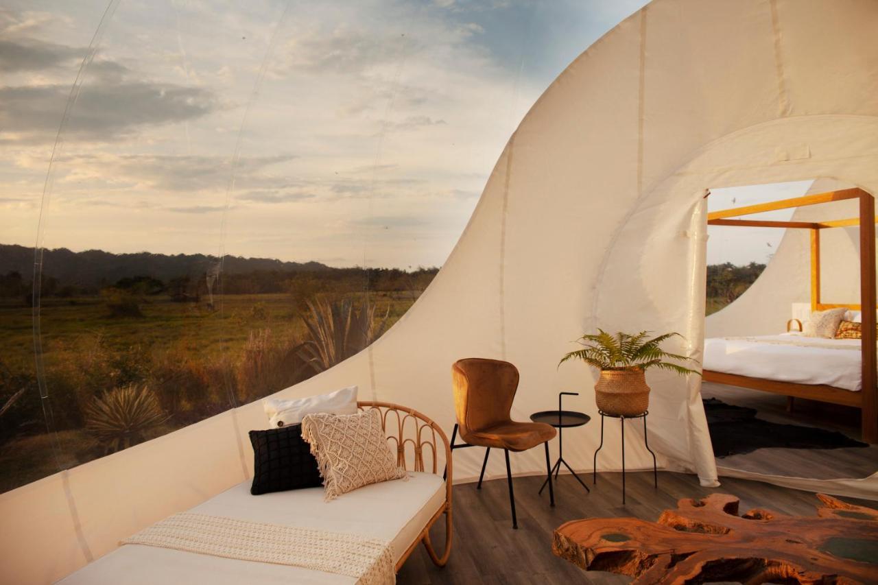 Green Land Bubble Glamping By Mint Cabarete Dış mekan fotoğraf