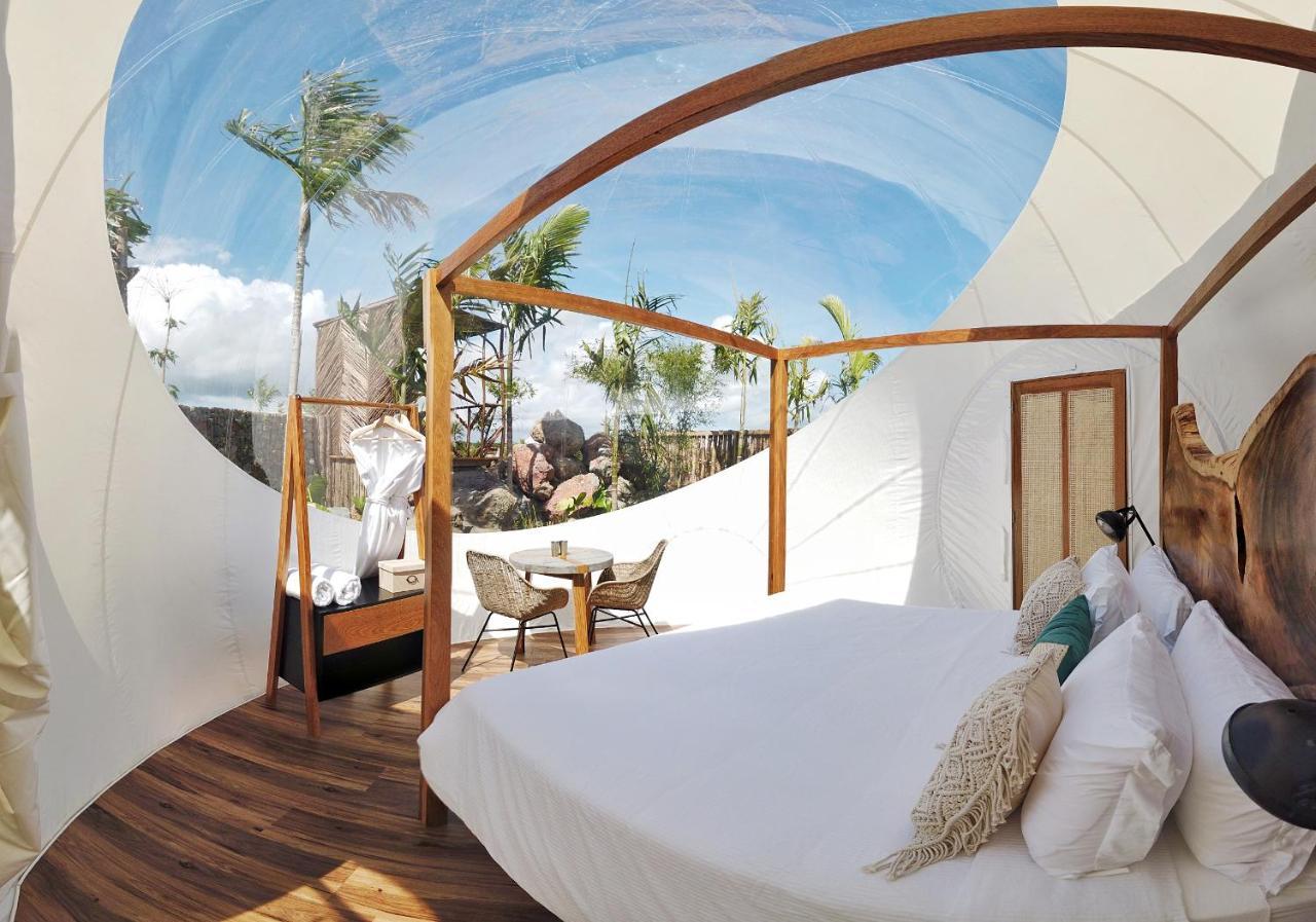 Green Land Bubble Glamping By Mint Cabarete Dış mekan fotoğraf