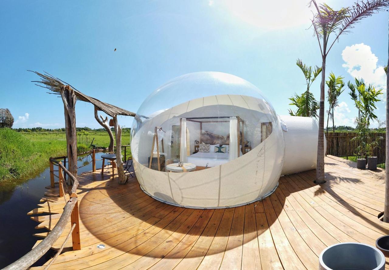 Green Land Bubble Glamping By Mint Cabarete Dış mekan fotoğraf