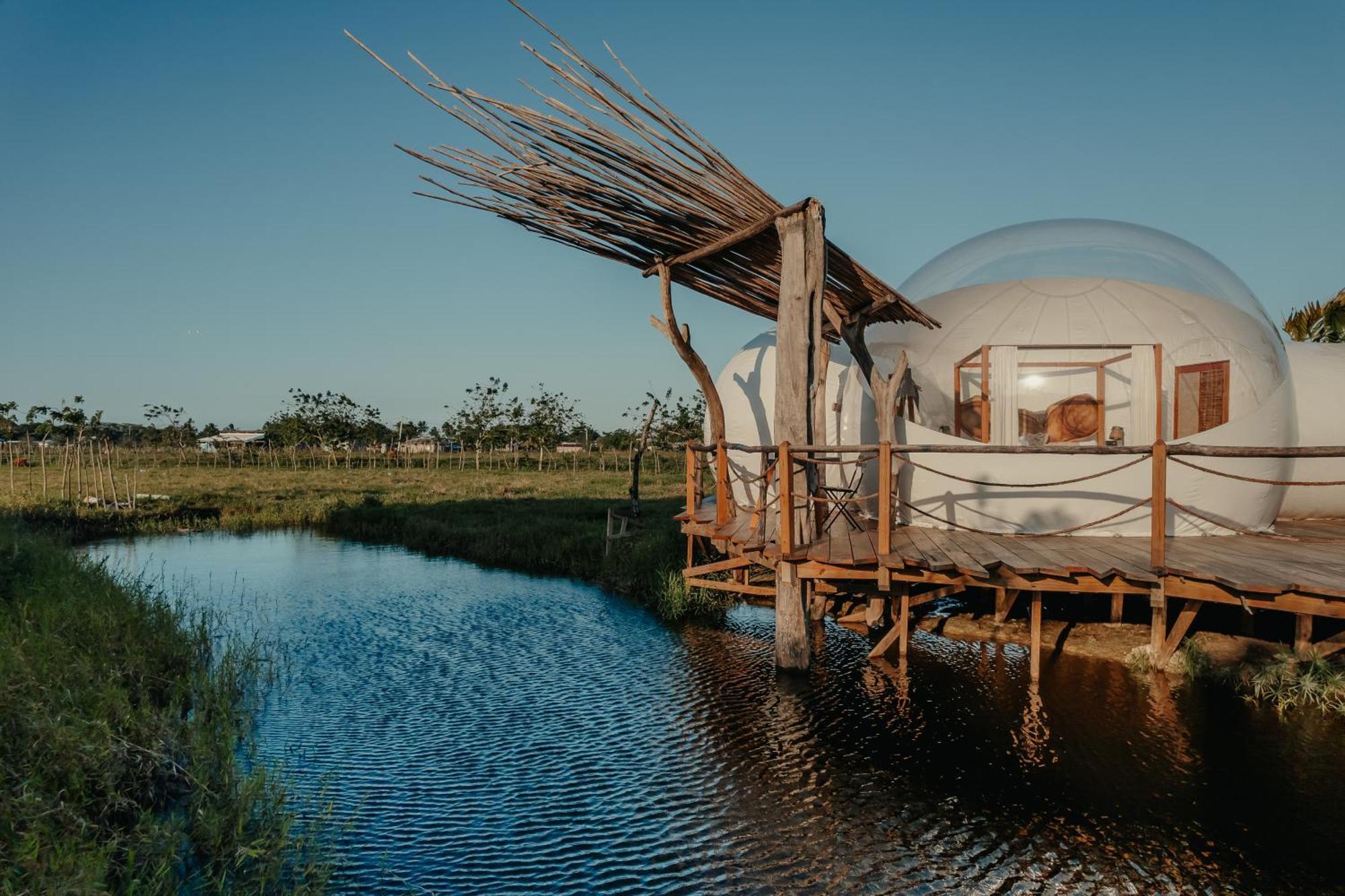 Green Land Bubble Glamping By Mint Cabarete Oda fotoğraf