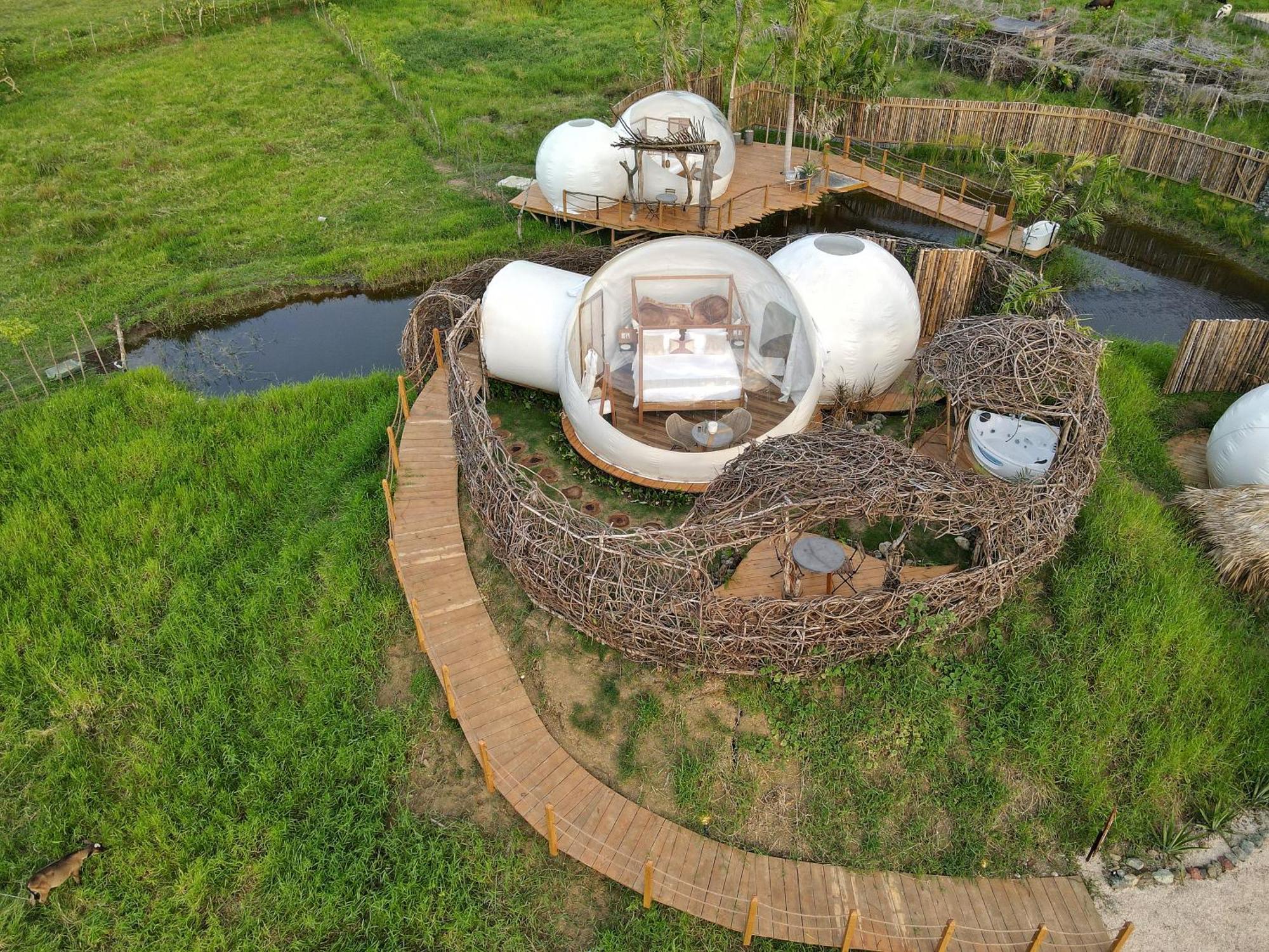 Green Land Bubble Glamping By Mint Cabarete Oda fotoğraf