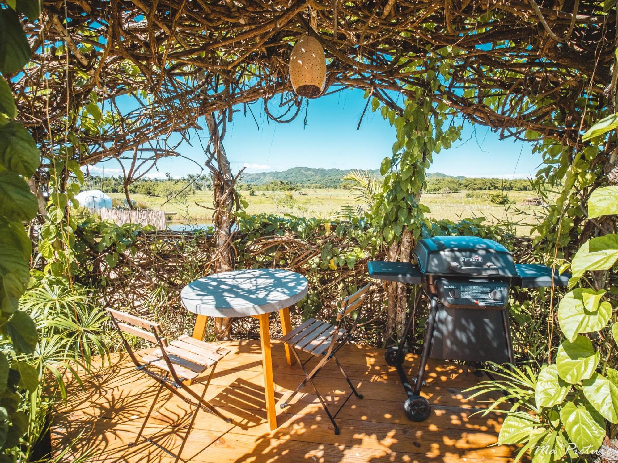 Green Land Bubble Glamping By Mint Cabarete Oda fotoğraf