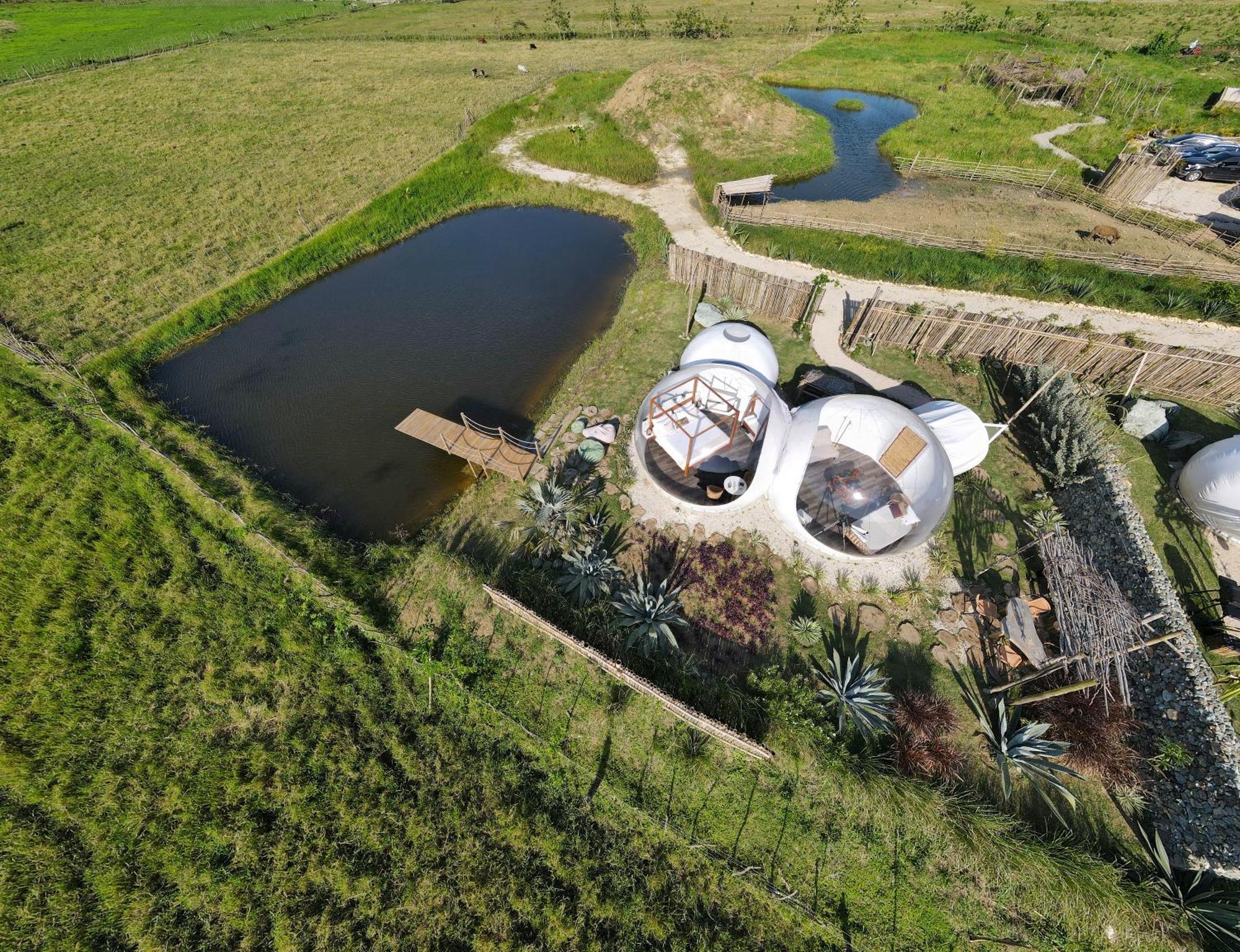 Green Land Bubble Glamping By Mint Cabarete Oda fotoğraf