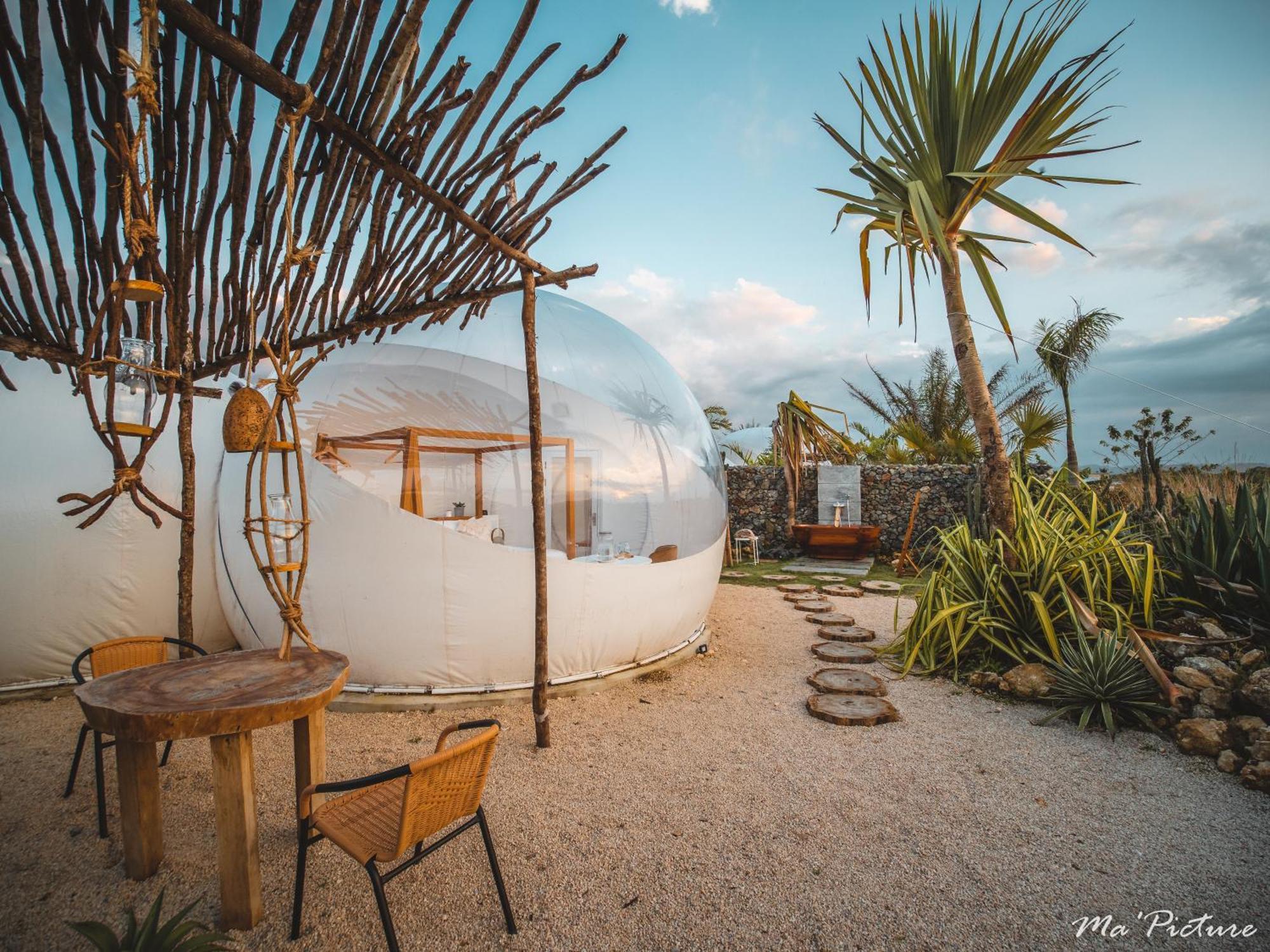 Green Land Bubble Glamping By Mint Cabarete Oda fotoğraf
