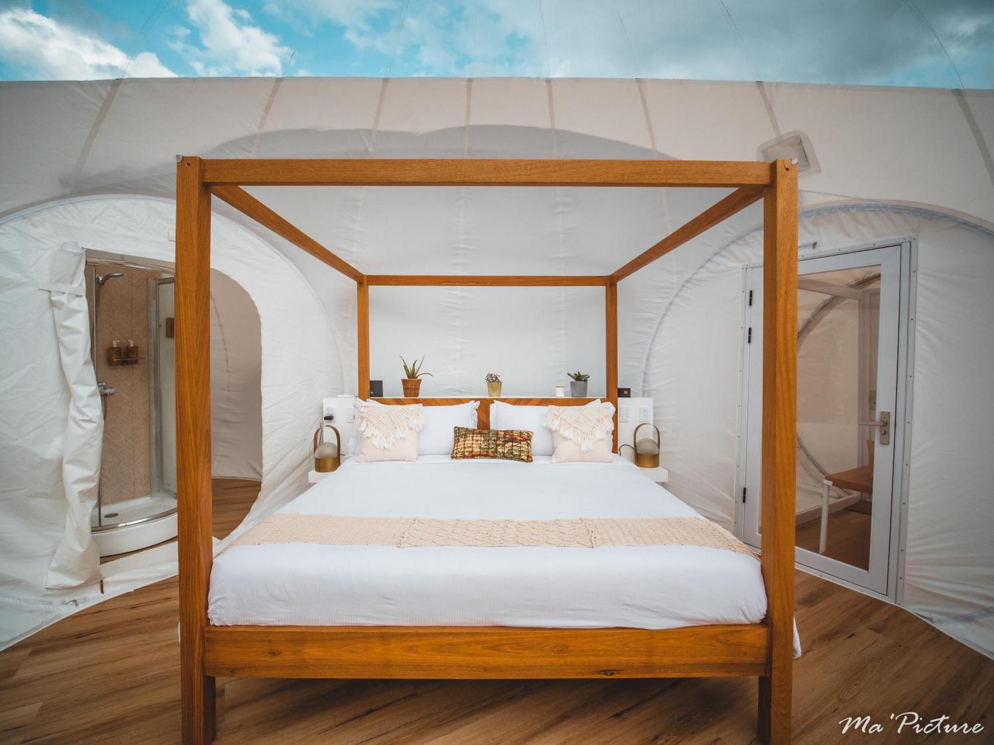 Green Land Bubble Glamping By Mint Cabarete Oda fotoğraf