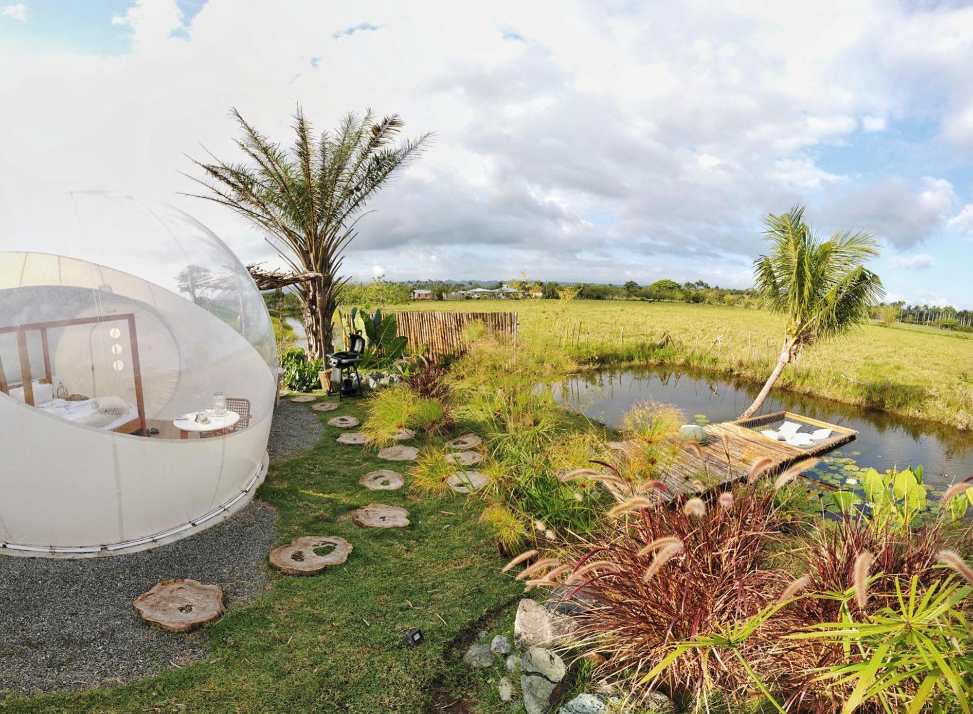 Green Land Bubble Glamping By Mint Cabarete Oda fotoğraf