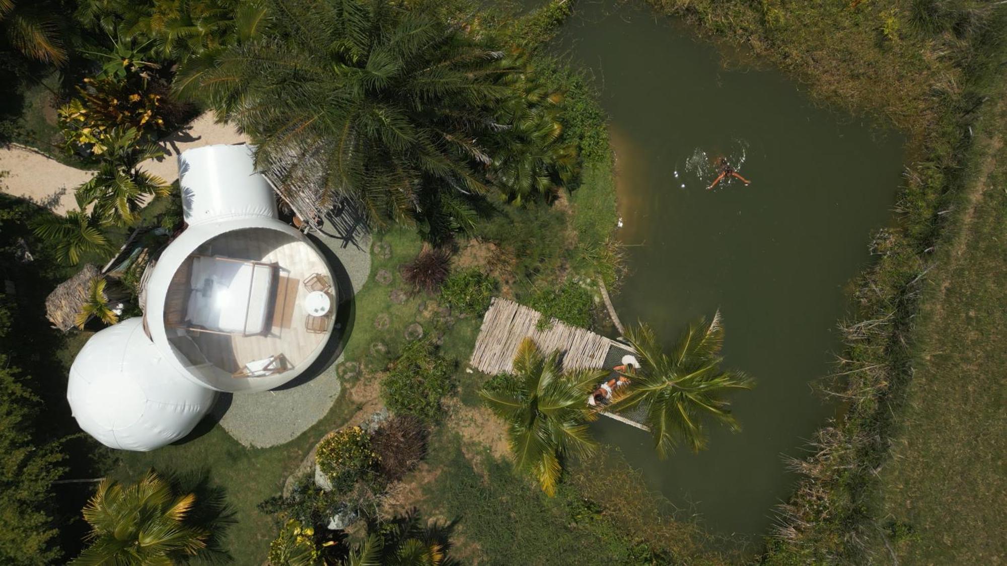 Green Land Bubble Glamping By Mint Cabarete Oda fotoğraf