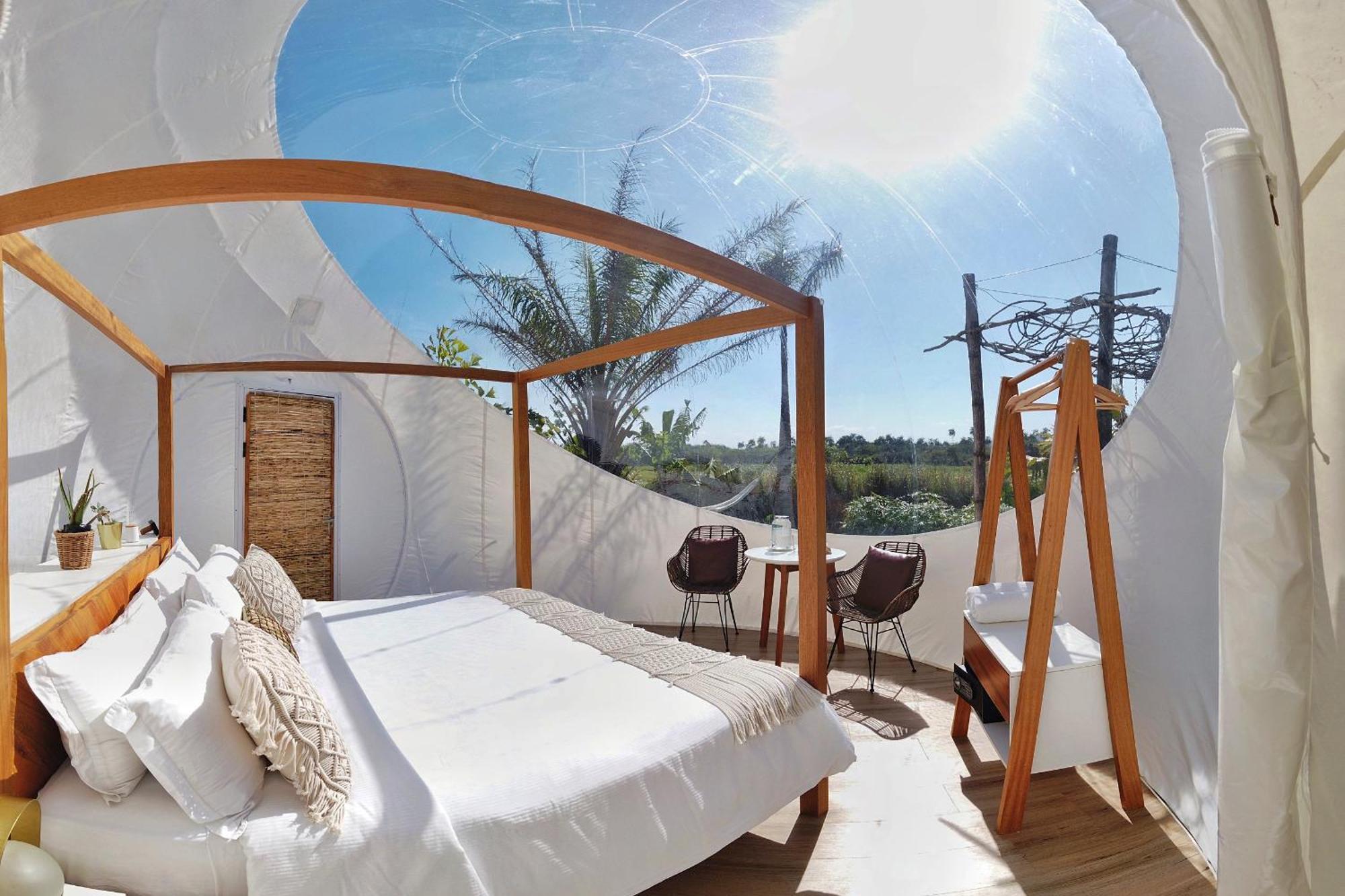 Green Land Bubble Glamping By Mint Cabarete Oda fotoğraf