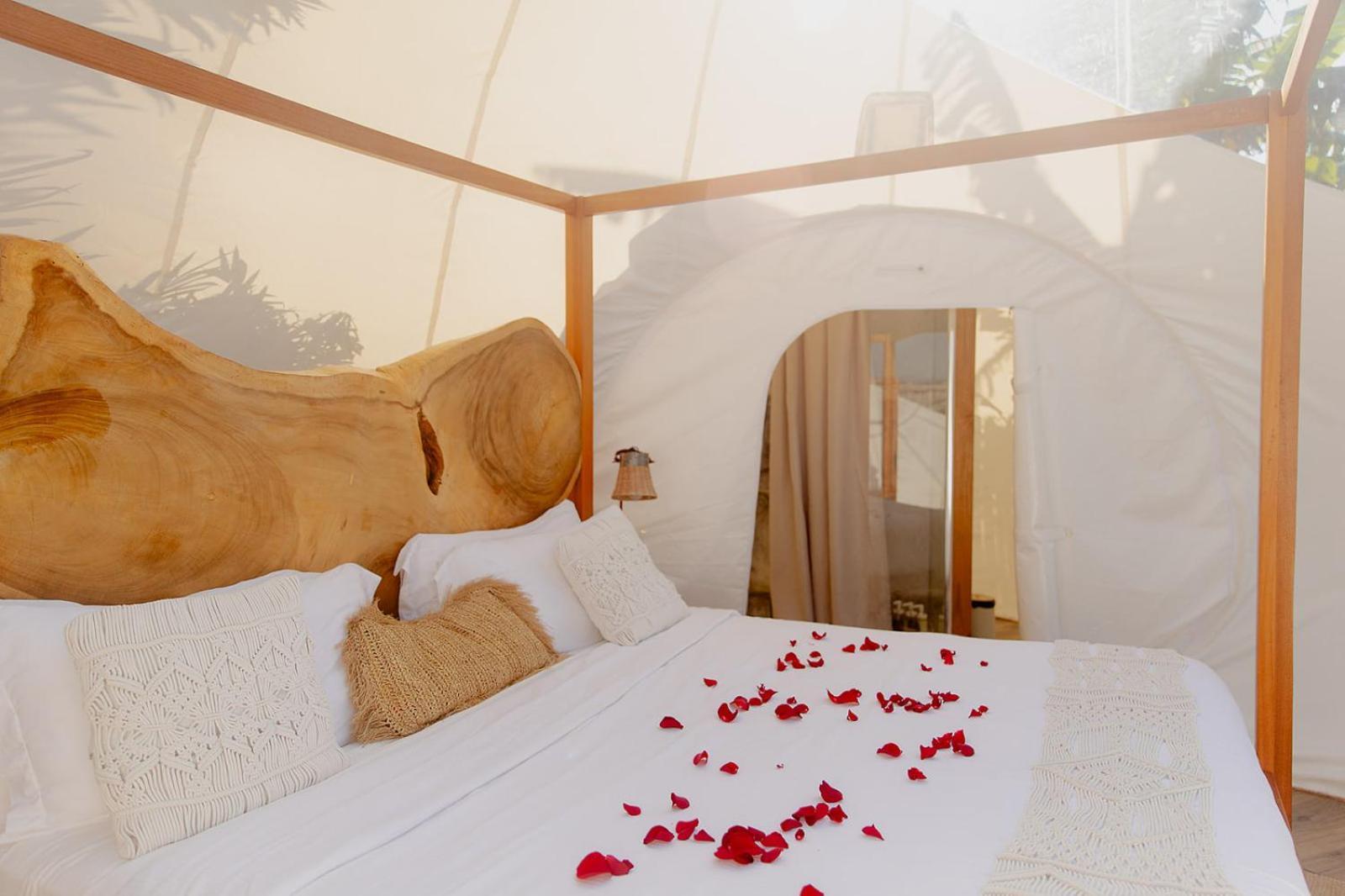 Green Land Bubble Glamping By Mint Cabarete Dış mekan fotoğraf