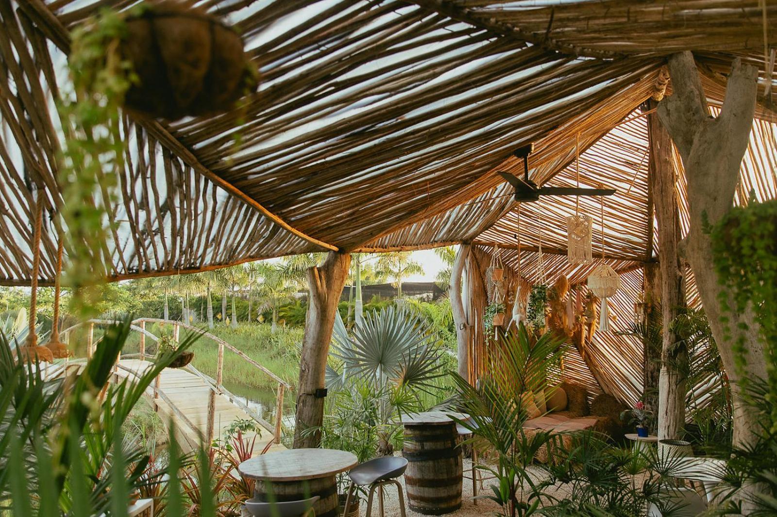 Green Land Bubble Glamping By Mint Cabarete Dış mekan fotoğraf