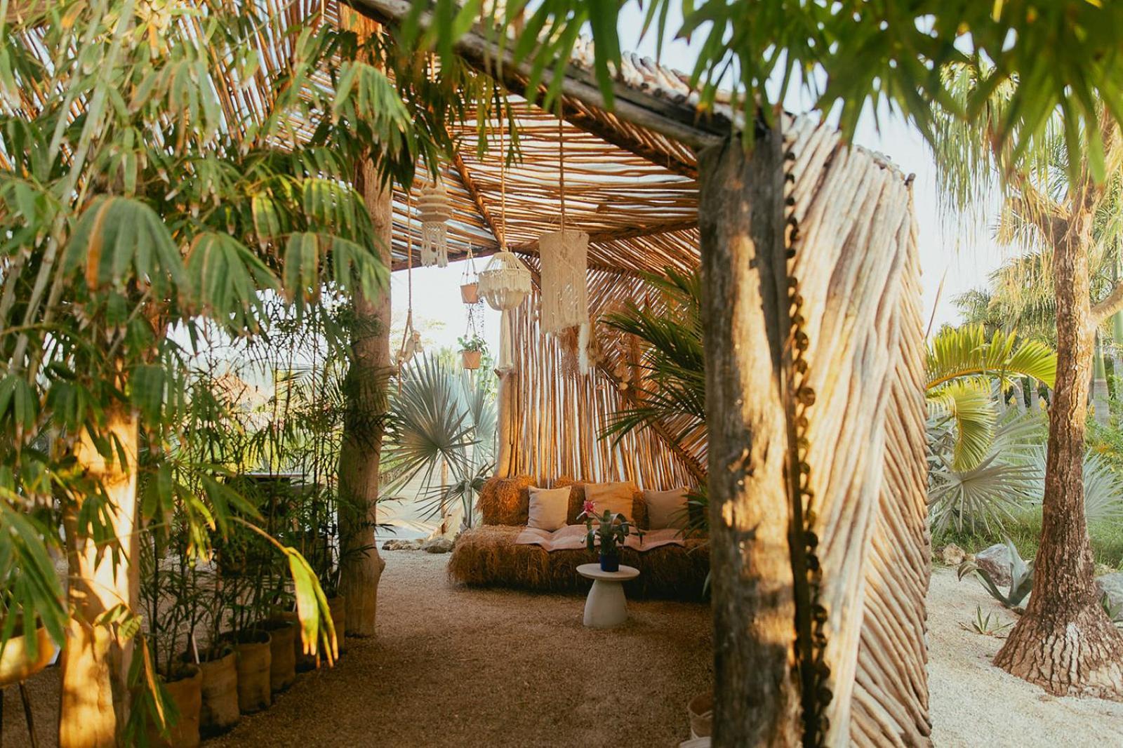 Green Land Bubble Glamping By Mint Cabarete Dış mekan fotoğraf