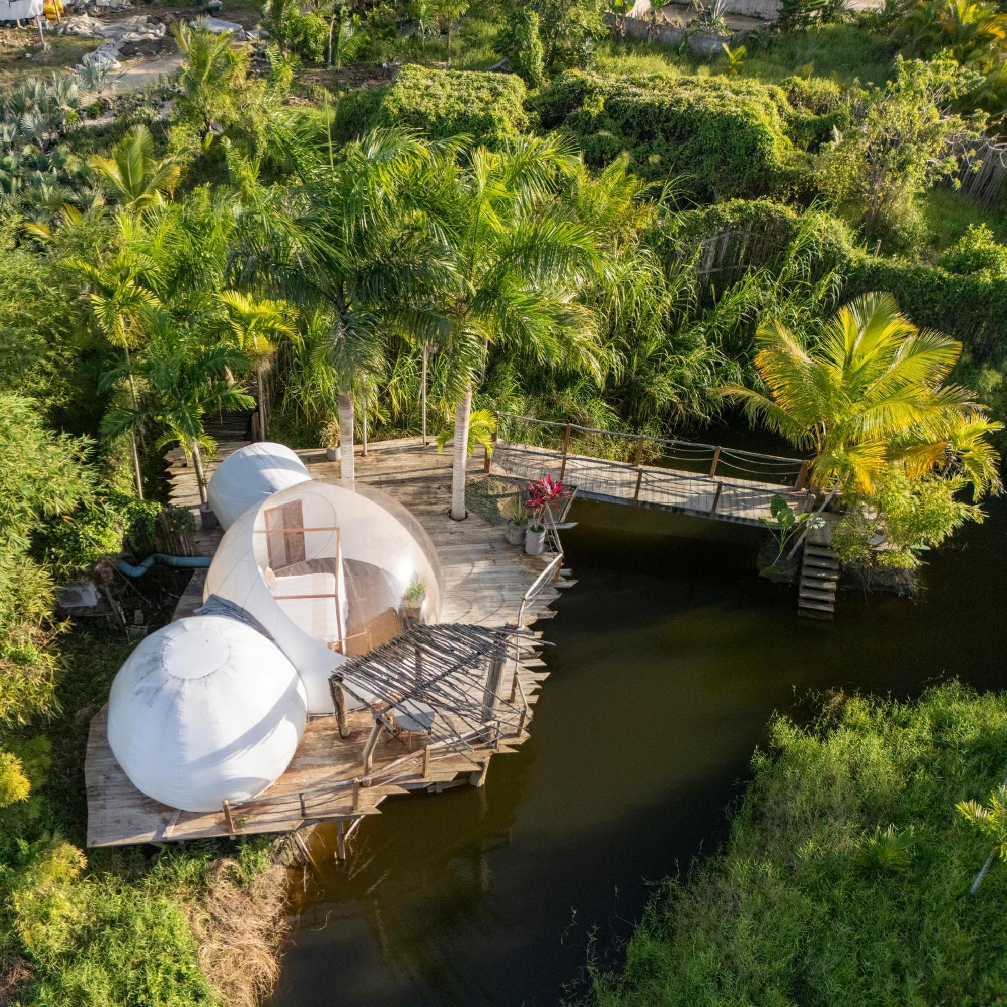 Green Land Bubble Glamping By Mint Cabarete Dış mekan fotoğraf
