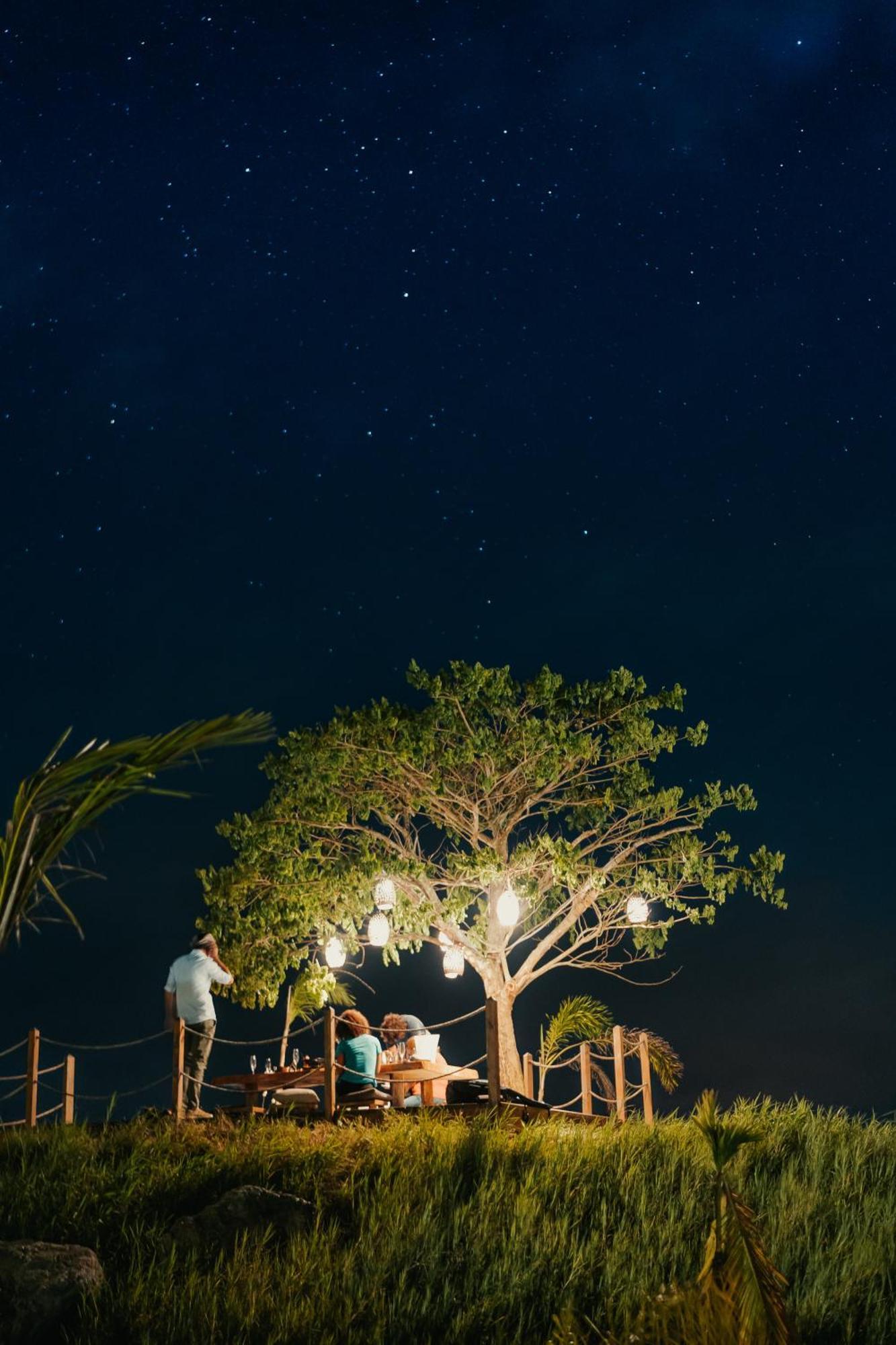 Green Land Bubble Glamping By Mint Cabarete Dış mekan fotoğraf